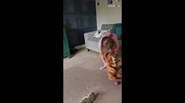 Silly Cockapoo's bizarrely hilarious first meeting with Cubby, the 'real-life' bear