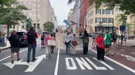 Pro Palestinian protestors march