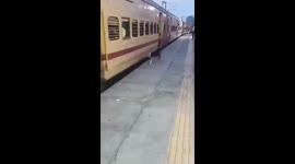 Stray dog unwittingly prevents passengers from stepping off moving train
