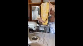 Dog steals noodle dough in Joinville, Brazil