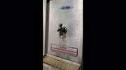 temp