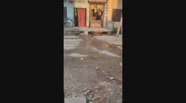 A dog trying to pull itself out of a drain