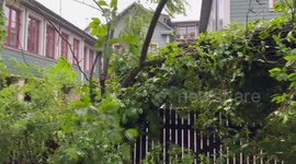 Latvia: Rare Summer Storm Downs Trees In Riga