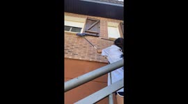 Window check turns frightening as bats fly out in Guadalajara, Spain