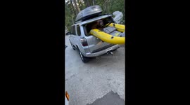 Guilty Bear Found In Backseat