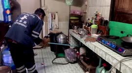 Mammoth 13ft python slithers into kitchen and kills pet cat