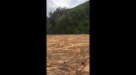 Thousands of trees were swept away by floodwaters, covering the river surface, and making it impossible for boats to move