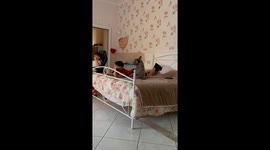 Dog seated on bed rubbing it in Castellammare di Stabia, Italy