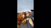 temp