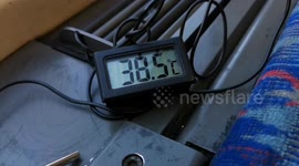 Central Line hits 38.8 Degrees on the hottest day of the year