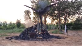 Canadian artist makes stunning burning phoenix sculpture from pieces of bamboo