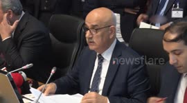 Turkish parliament passes law allowing euthanasia for stray dogs