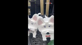 Awesome showcase of cute animal planters enhancing the beauty of shed