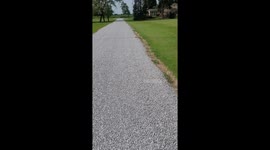 Worker helps bird by marking nest in driveway
