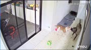 temp