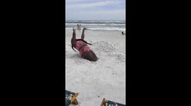 Silly Fun Time at the Beach