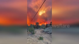 USA: Efforts Intensify to Contain Borel Fire with Ground and Air Support