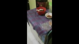 Rat spotted in rice bowl in Denpasar, Bali, Indonesia