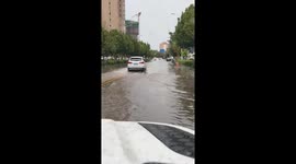 Driver indulges father-daughter duo's playful request in rainy China