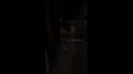 Minnie’s great escape.