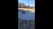 temp
