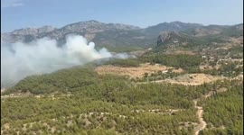 Turkey: Forest Fires in Urla and Serik Brought Under Control