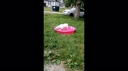 temp