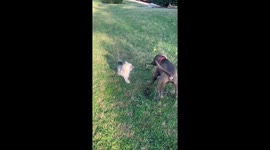 I'll Walk her myself