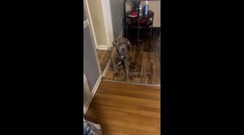 Papa wanted to pay Uno