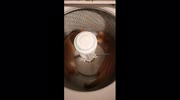 temp