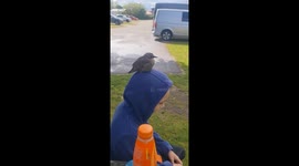 Bird perches on boy's head and poops in Prestonpans, UK
