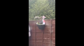 Mischievous squirrel takes England bunting from the yard before the big match