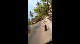 Elephant breaks house gate and boundary in Kerala, India