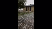 temp