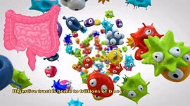 Improve Digestion Naturally with the Best Foods for Your Gut - Best Foods For A Healthy Gut