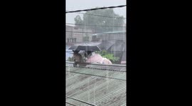 Pet owner lies on roof to protect dog from rain during typhoon