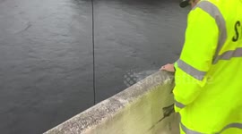 United States: Driver Dies in Semi-Truck Crash into Canal in Florida