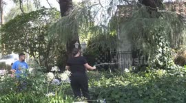 USA: San Bernardino Edgehill Brush Fire at 50 Acres Part 2