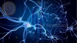 Optimize Your Health With These Low Potassium Foods |Low Potassium Foods For Kidney Patients