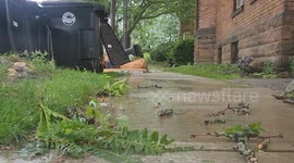 Tornado Strikes Cuyahoga, OH