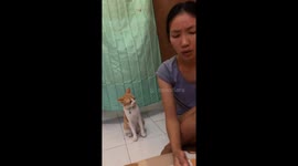 Cat bites owner's sister during singing session in Jakarta, Indonesia