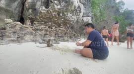 Man plays sand with friendly monkey on Thai beach