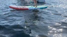 Incredible footage of sunken vessel off the coast of the Florida Keys