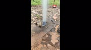 temp