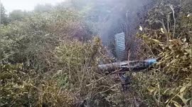 4 Chinese Passengers, Pilot Killed In Helicopter Crash In Nepal