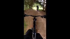 Tree falls across trail in Italy; cyclists escape injury