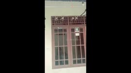 Four cats perched on window grill in Depok City, Indonesia