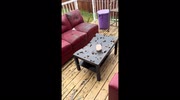 temp