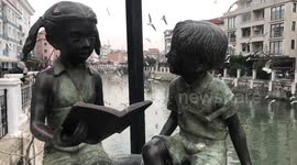 Flying bird on bridge in turkey