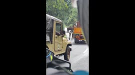 Elephant blocks road in Masinagudi; tear gas used to clear path